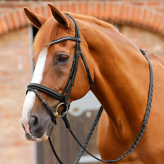 Premier Equine Bellissima Shaped Diamante Browband by Premier Equine at  Try a Bit