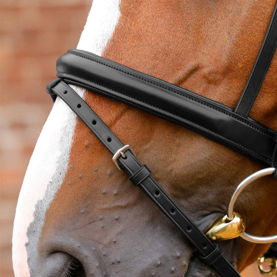 Premier Equine Bellissima Crank Bridle with Diamante Browband by Premier Equine at  Try a Bit