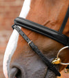 Premier Equine Bellissima Crank Bridle with Diamante Browband by Premier Equine at  Try a Bit