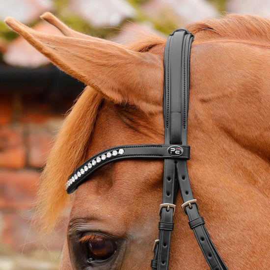 Premier Equine Bellissima Crank Bridle with Diamante Browband by Premier Equine at  Try a Bit