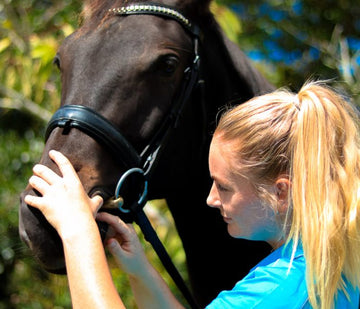 Woman petting a horse with a blurred natural background