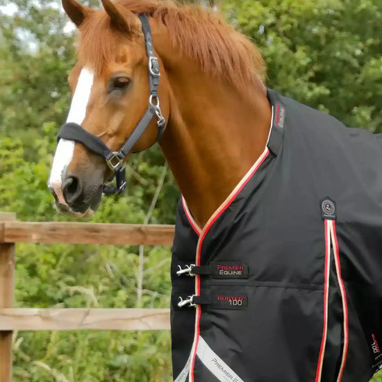 Premier Equine Buster 100g Turnout Rug with Snug-Fit Neck Cover by Premier Equine at  Try a Bit