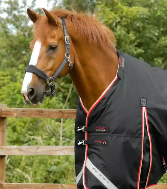Premier Equine Buster 100g Turnout Rug with Snug-Fit Neck Cover by Premier Equine at  Try a Bit