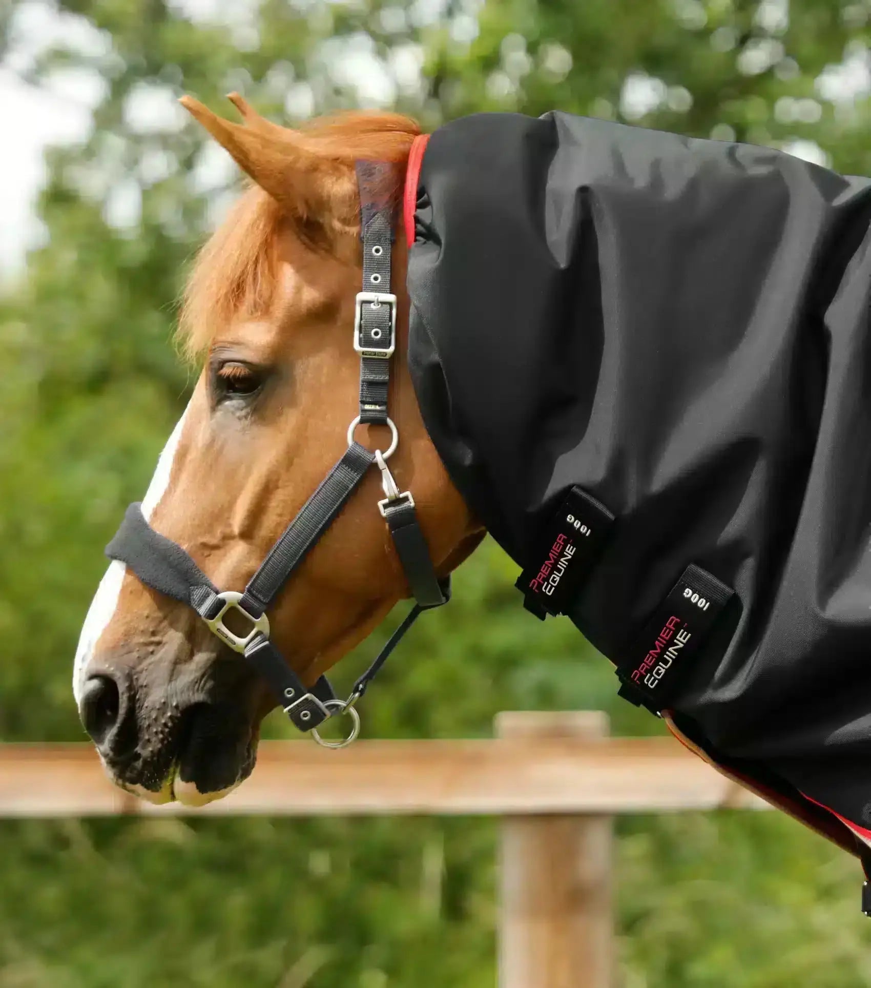 Premier Equine Buster 100g Turnout Rug with Snug-Fit Neck Cover by Premier Equine at  Try a Bit