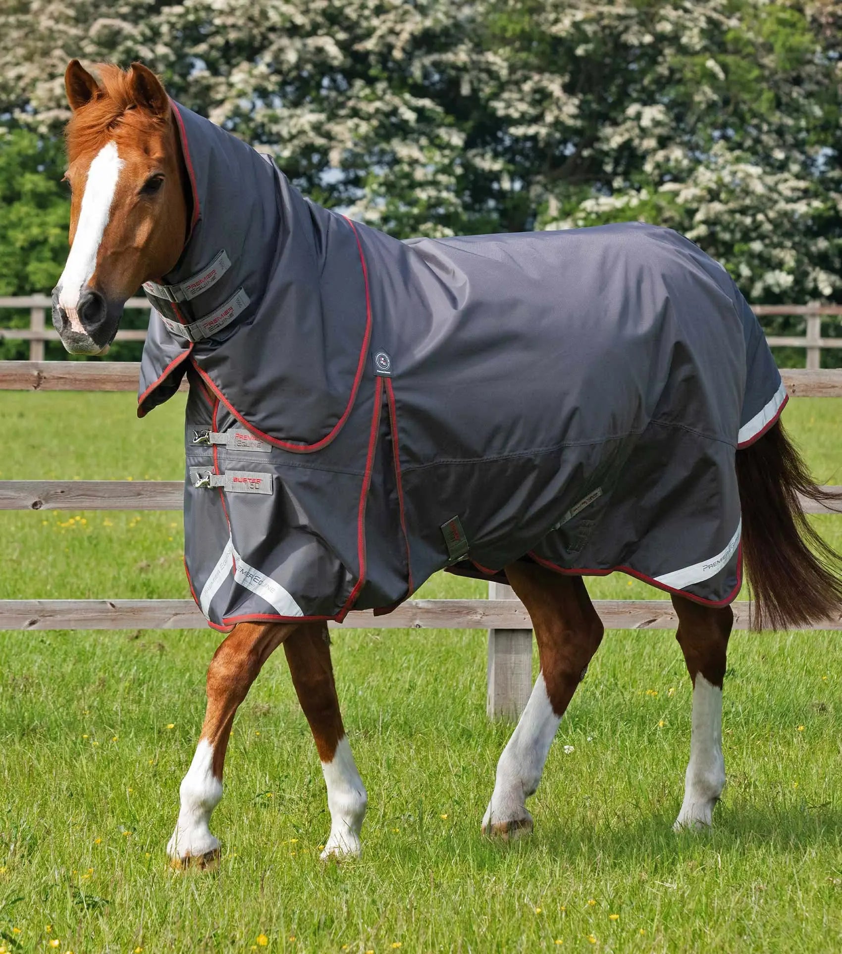 Premier Equine Buster 150g Turnout Rug with Classic Neck Cover by Premier Equine at  Try a Bit