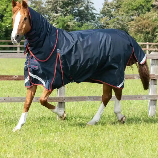 Premier Equine Buster 150g Turnout Rug with Classic Neck Cover by Premier Equine at  Try a Bit