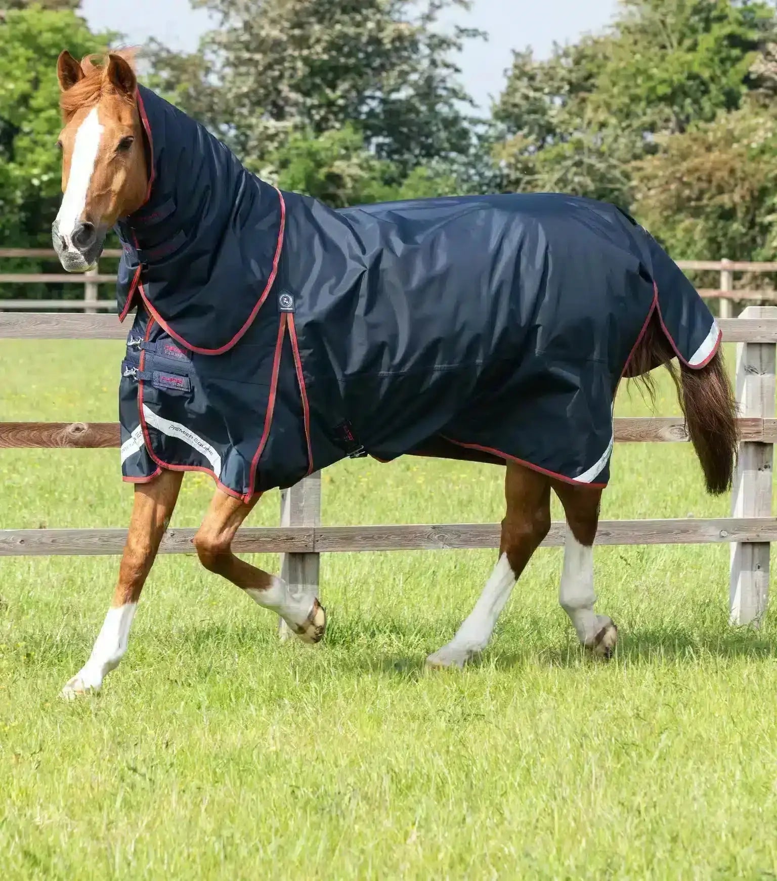 Premier Equine Buster 150g Turnout Rug with Classic Neck Cover by Premier Equine at  Try a Bit