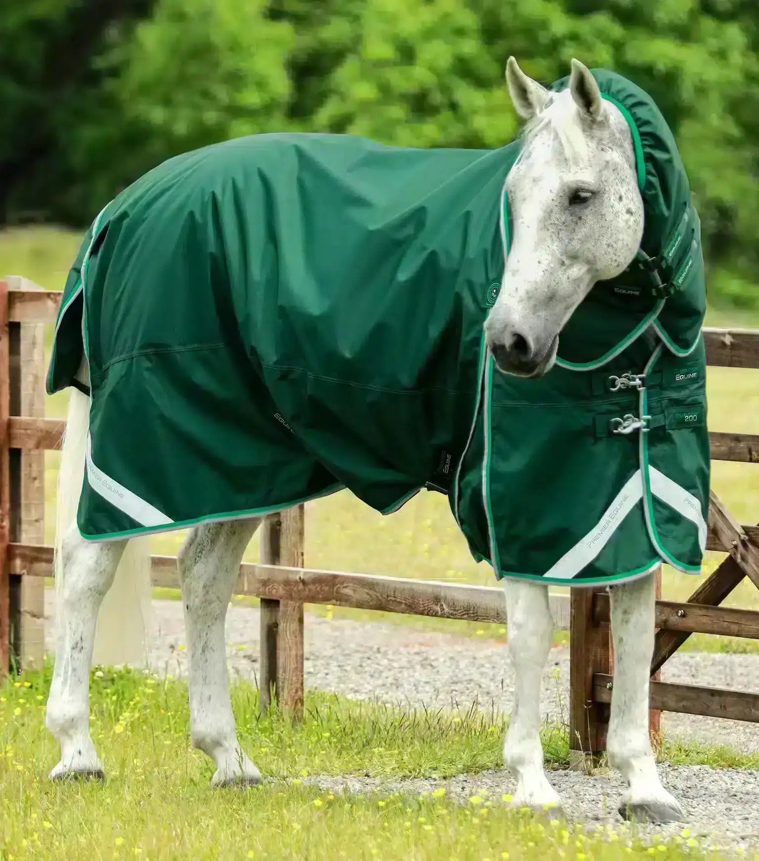 Premier Equine Buster 200g Turnout Rug with Snug-Fit Neck Cover by Premier Equine at  Try a Bit