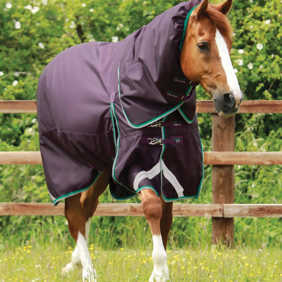 Premier Equine Buster 200g Turnout Rug with Snug-Fit Neck Cover by Premier Equine at  Try a Bit
