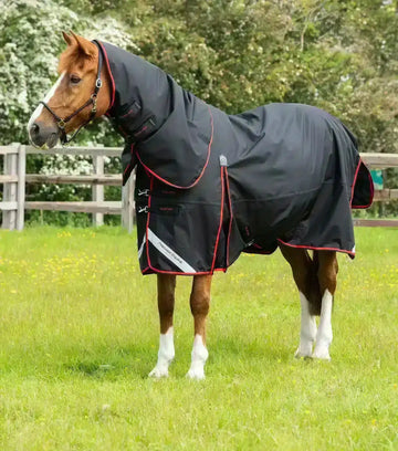Premier Equine Buster 250g Turnout Rug with Classic Neck Cover by Premier Equine at  Try a Bit