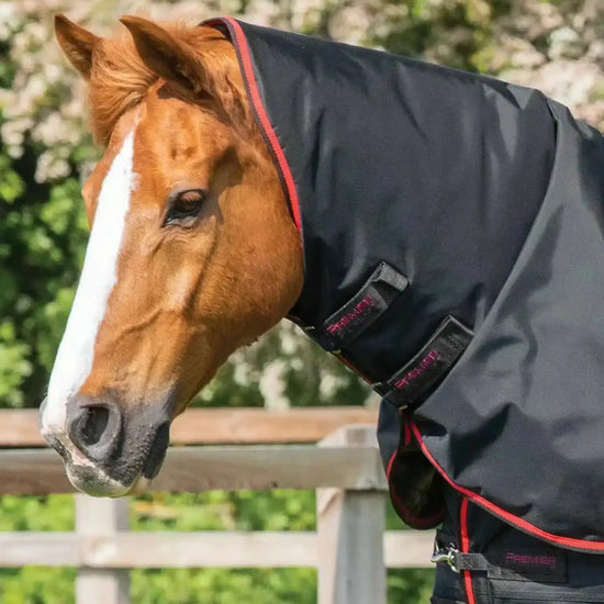 Premier Equine Buster 250g Turnout Rug with Classic Neck Cover by Premier Equine at  Try a Bit