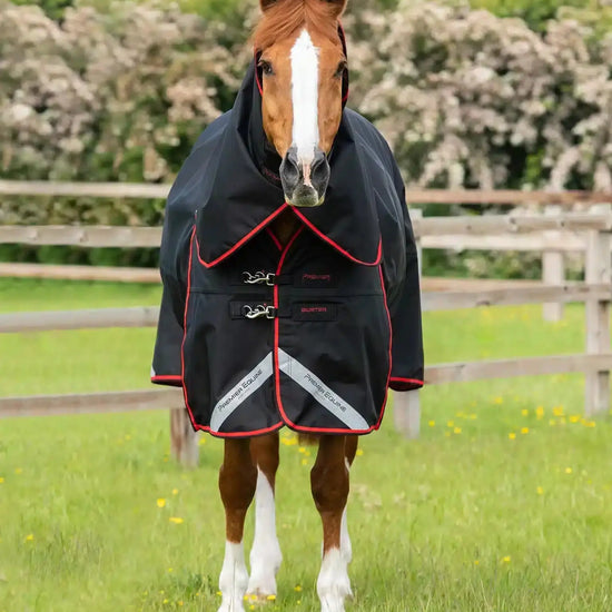 Premier Equine Buster 250g Turnout Rug with Classic Neck Cover by Premier Equine at  Try a Bit