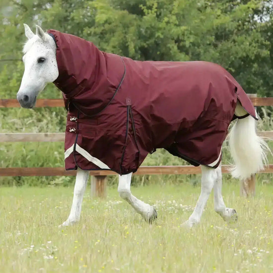 Premier Equine Buster 400g Turnout Rug with Snug-Fit Neck Cover by Premier Equine at  Try a Bit