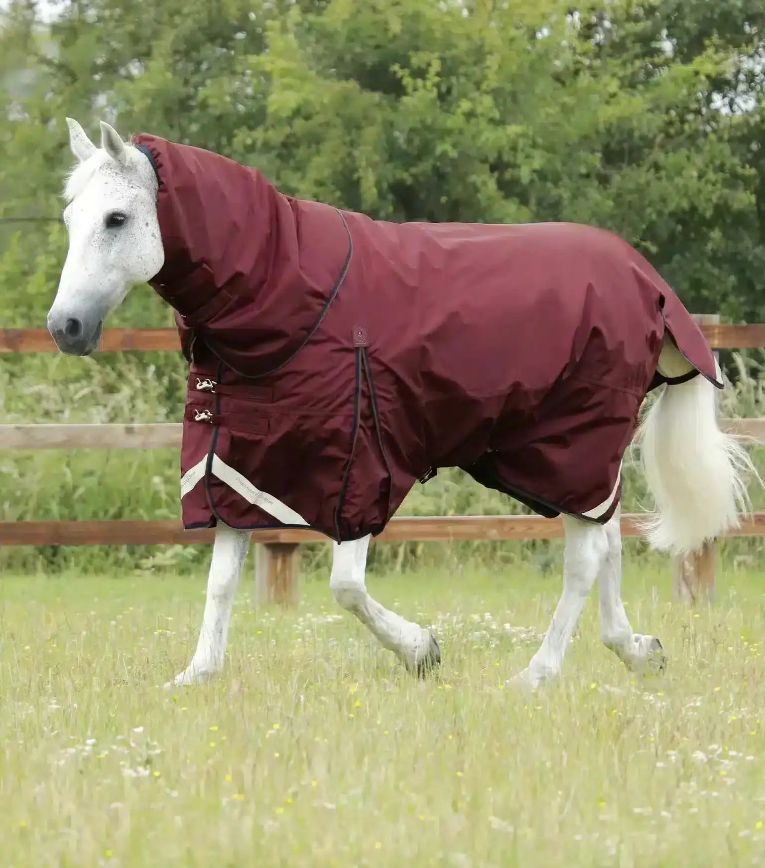 Premier Equine Buster 400g Turnout Rug with Snug-Fit Neck Cover by Premier Equine at  Try a Bit