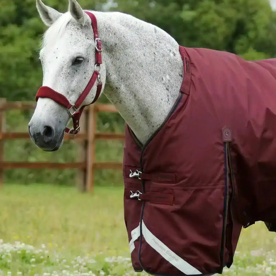 Premier Equine Buster 400g Turnout Rug with Snug-Fit Neck Cover by Premier Equine at  Try a Bit