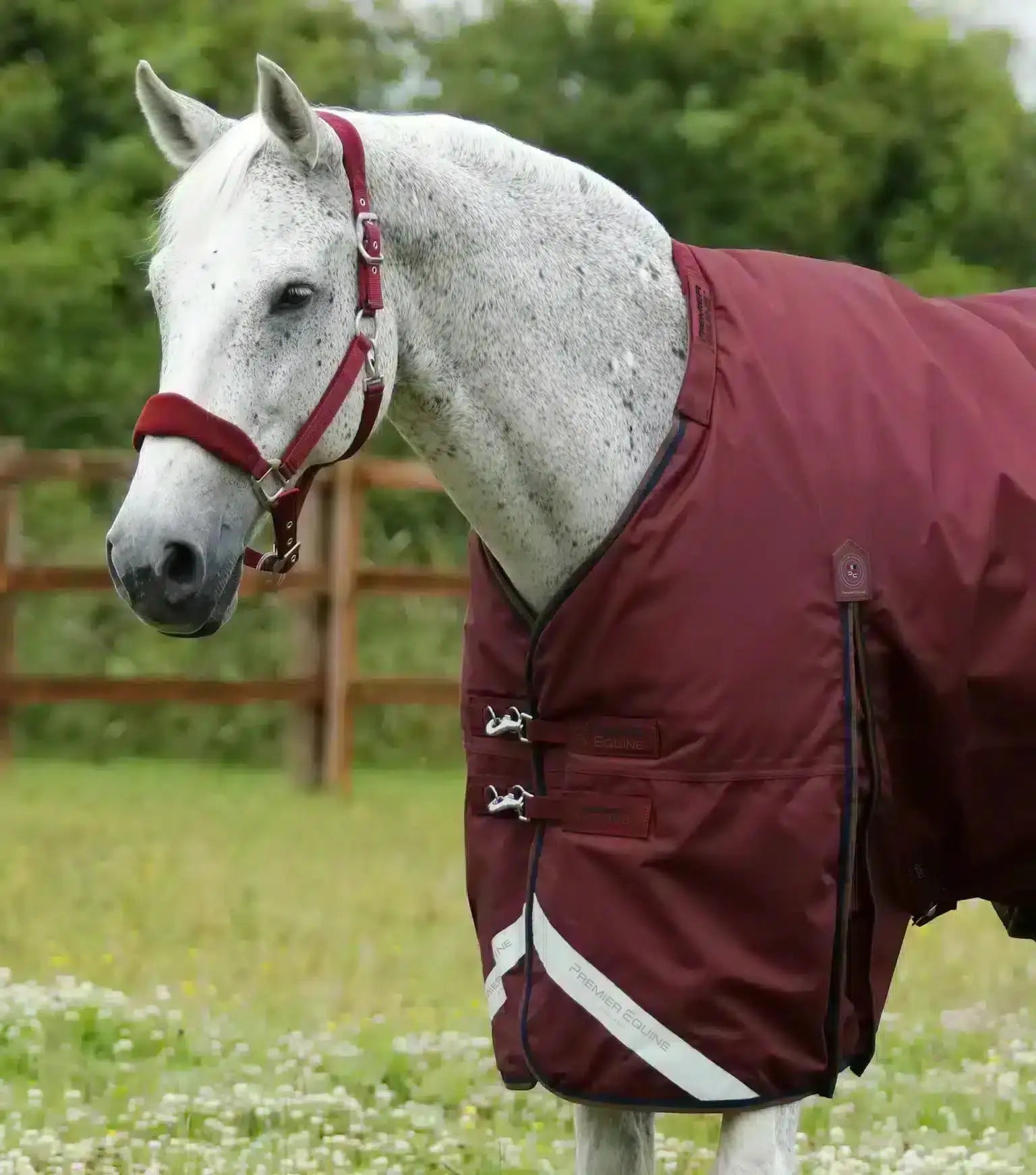 Premier Equine Buster 400g Turnout Rug with Snug-Fit Neck Cover by Premier Equine at  Try a Bit