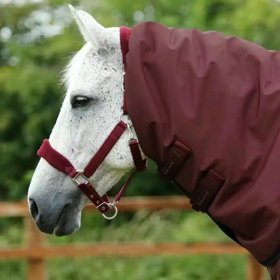 Premier Equine Buster 400g Turnout Rug with Snug-Fit Neck Cover by Premier Equine at  Try a Bit