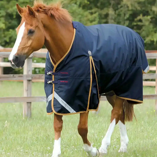 Premier Equine Buster 50g Original Turnout Rug by Premier Equine at  Try a Bit