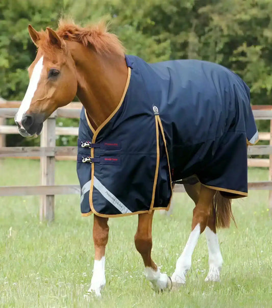 Premier Equine Buster 50g Original Turnout Rug by Premier Equine at  Try a Bit