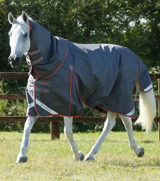 Premier Equine Buster 50g Turnout Rug with Snug-Fit Neck Cover by Premier Equine at  Try a Bit