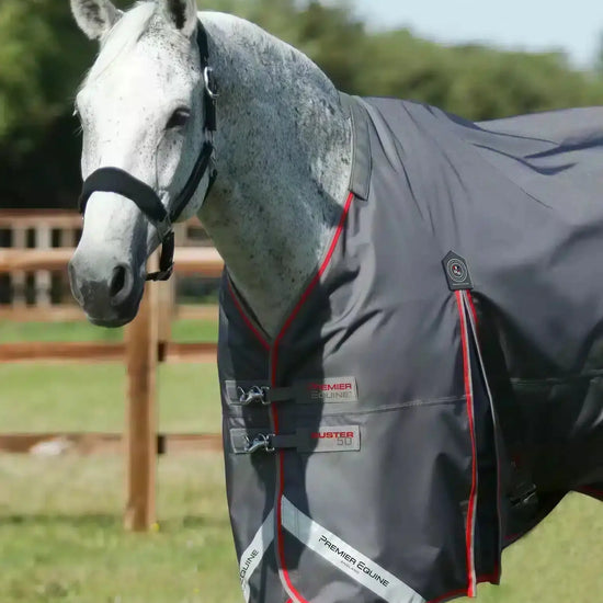 Premier Equine Buster 50g Turnout Rug with Snug-Fit Neck Cover by Premier Equine at  Try a Bit