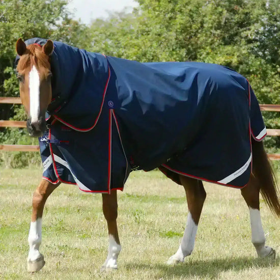 Premier Equine Buster 50g Turnout Rug with Snug-Fit Neck Cover by Premier Equine at  Try a Bit