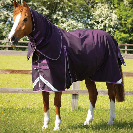 Premier Equine Buster 70g Turnout Rug with Classic Neck Cover by Premier Equine at  Try a Bit