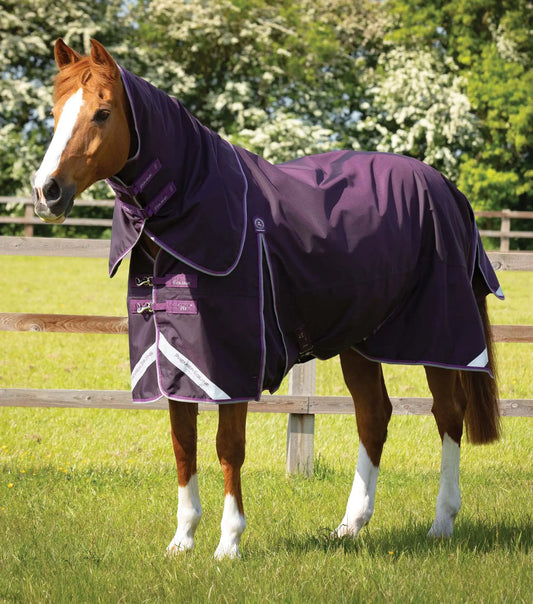 Premier Equine Buster 70g Turnout Rug with Classic Neck Cover by Premier Equine at  Try a Bit