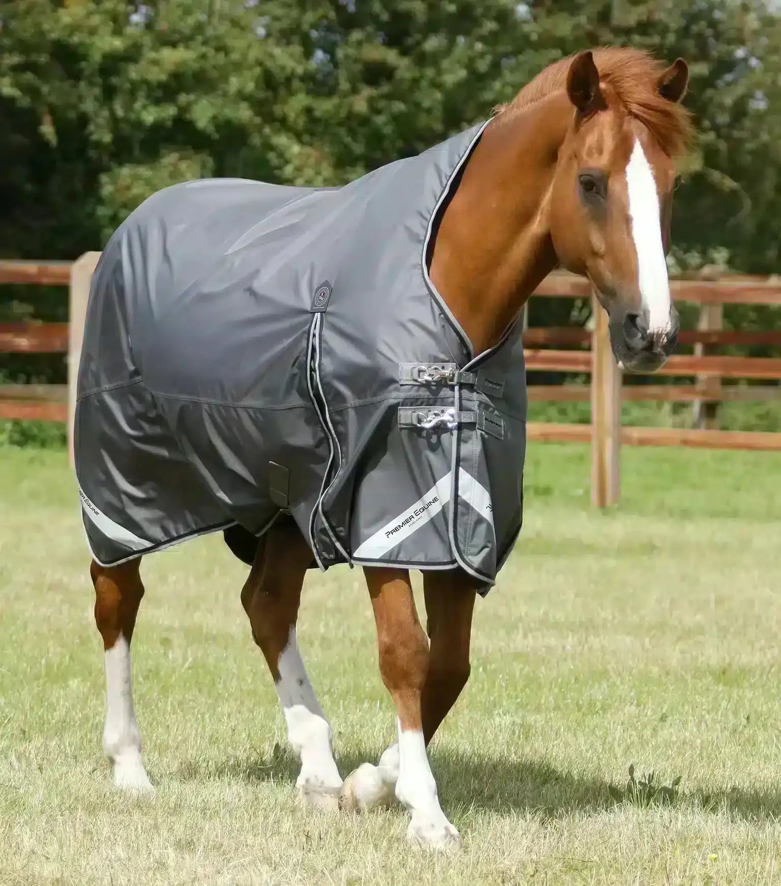 Premier Equine Buster Hardy 0g Half Neck Turnout Rug by Premier Equine at  Try a Bit