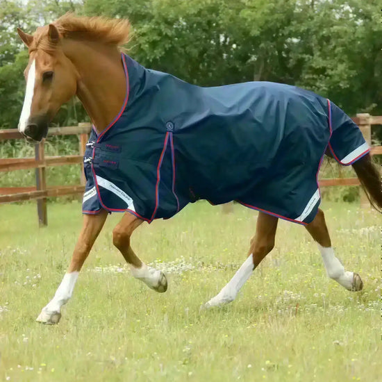 Premier Equine Buster Hardy 0g Half Neck Turnout Rug by Premier Equine at  Try a Bit