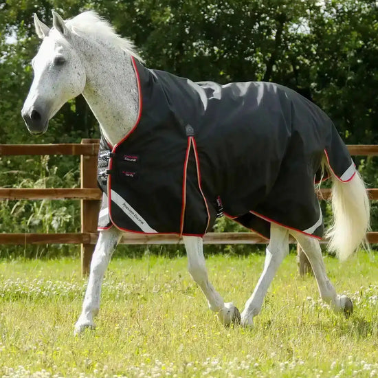 Premier Equine Buster Hardy 100g Half Neck Turnout Rug by Premier Equine at  Try a Bit