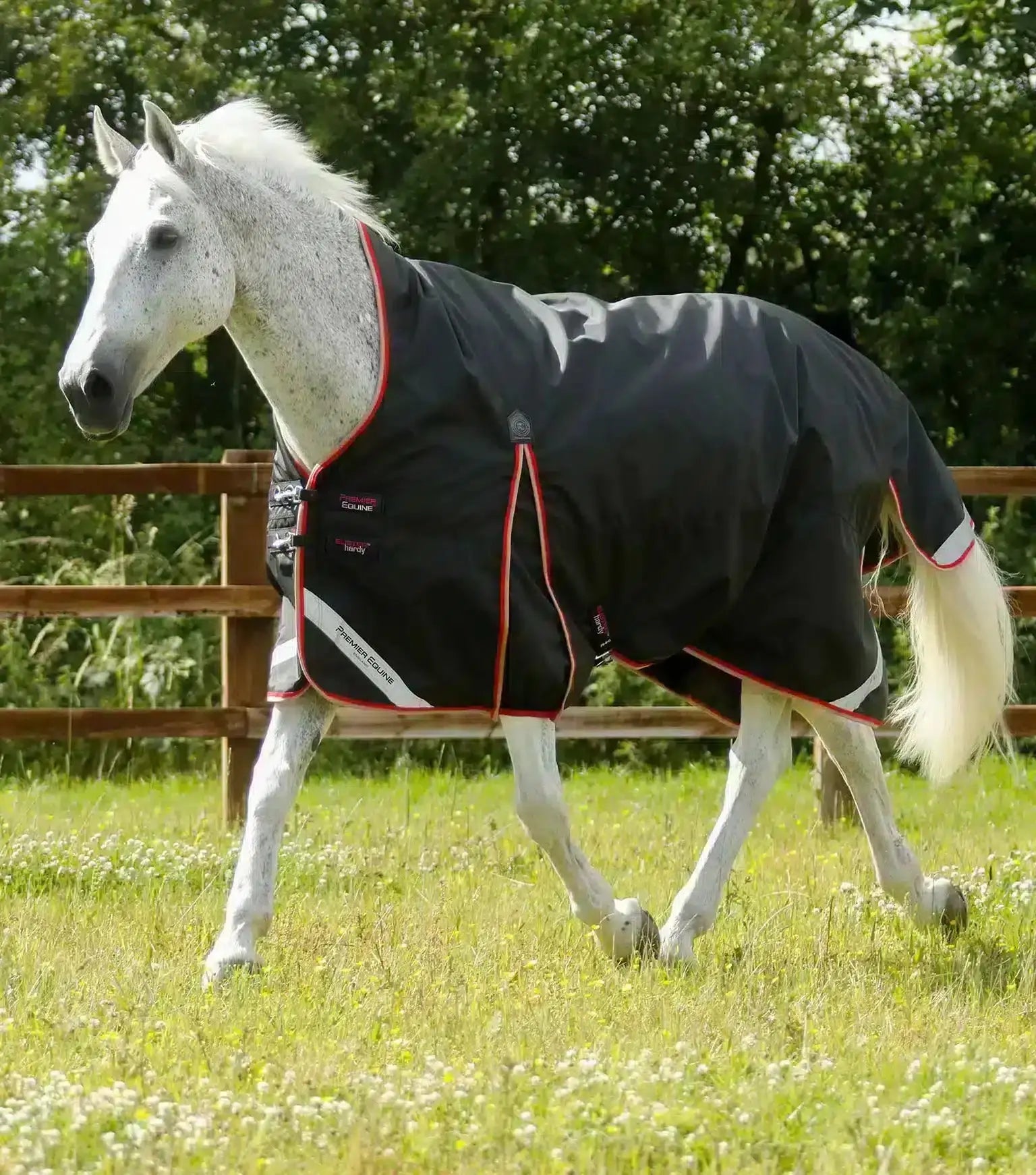 Premier Equine Buster Hardy 100g Half Neck Turnout Rug by Premier Equine at  Try a Bit