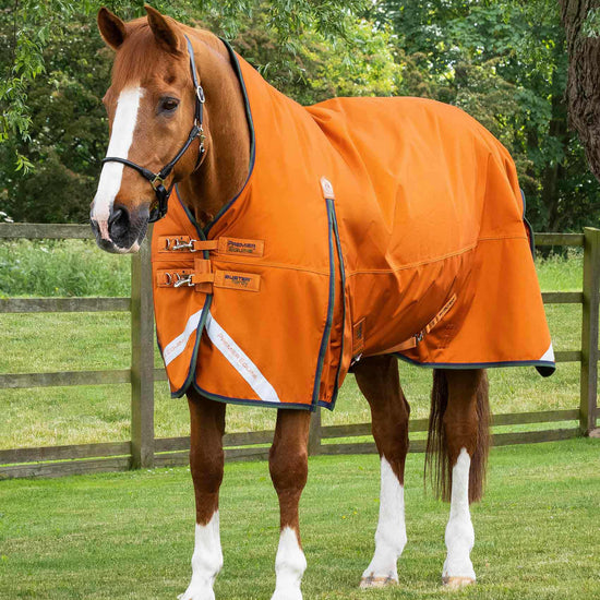 Premier Equine Buster Hardy 400g Half Neck Turnout Rug by Premier Equine at  Try a Bit