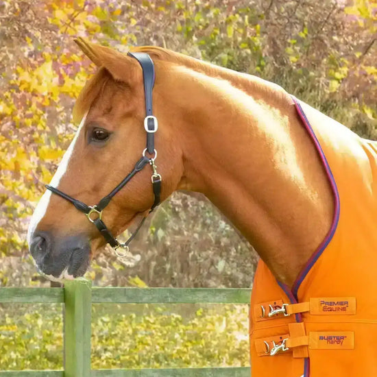 Premier Equine Buster Hardy 200g Half Neck Turnout Rug by Premier Equine at  Try a Bit