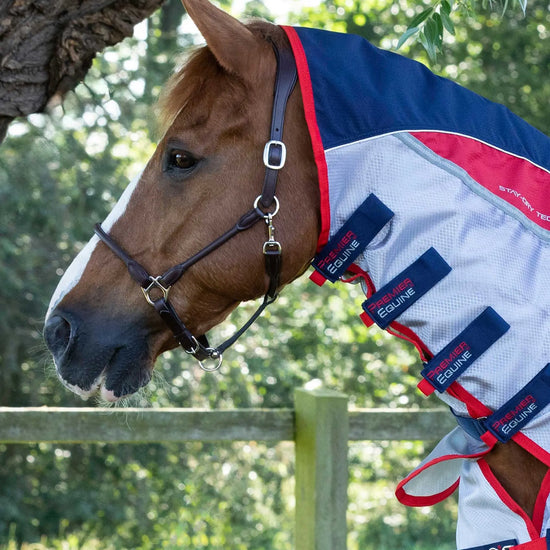 Premier Equine Buster Stay-Dry Super Lite Fly Rug with Surcingles by Premier Equine at  Try a Bit
