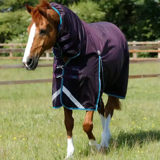 Premier Equine Buster Storm 100g Combo Turnout Rug with Snug-Fit Neck by Premier Equine at  Try a Bit