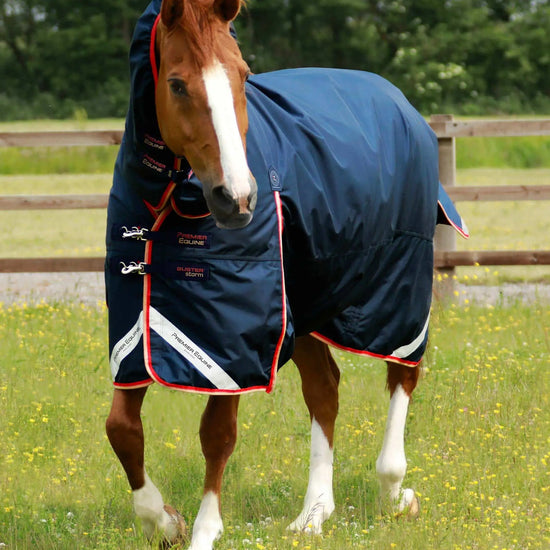 Premier Equine Buster Storm 200g Combo Turnout Rug with Snug-Fit Neck by Premier Equine at  Try a Bit