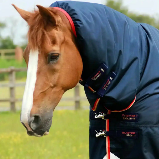 Premier Equine Buster Storm 200g Combo Turnout Rug with Snug-Fit Neck by Premier Equine at  Try a Bit