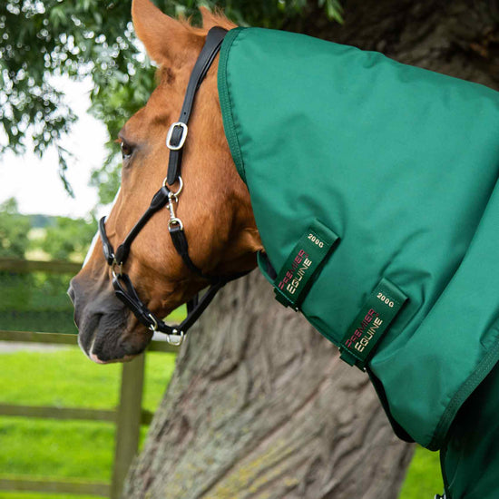 Premier Equine Buster Storm 220g Combo Turnout Rug with Classic Neck by Premier Equine at  Try a Bit