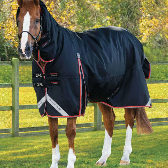 Premier Equine Buster Storm 400g Combo Turnout Rug with Snug-Fit Neck by Premier Equine at  Try a Bit