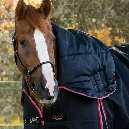 Premier Equine Buster Storm 400g Combo Turnout Rug with Snug-Fit Neck by Premier Equine at  Try a Bit