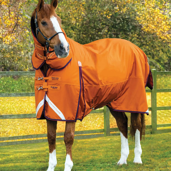 Premier Equine Buster Storm 400g Combo Turnout Rug with Classic Neck by Premier Equine at  Try a Bit