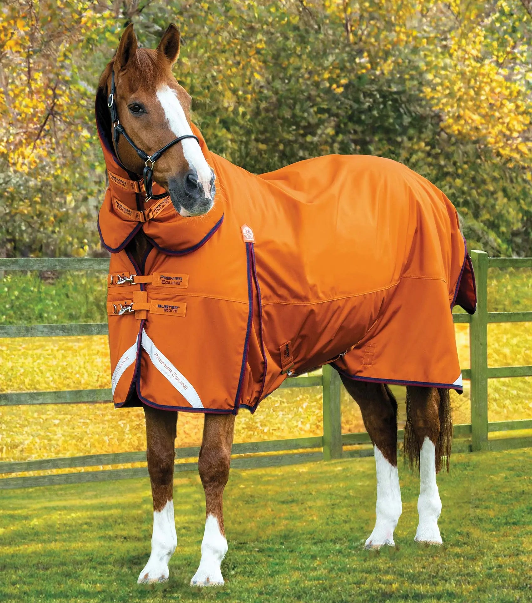 Premier Equine Buster Storm 200g Combo Turnout Rug with Classic Neck by Premier Equine at  Try a Bit