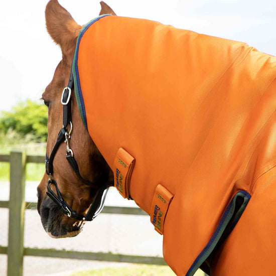 Premier Equine Buster Storm 400g Combo Turnout Rug with Classic Neck by Premier Equine at  Try a Bit