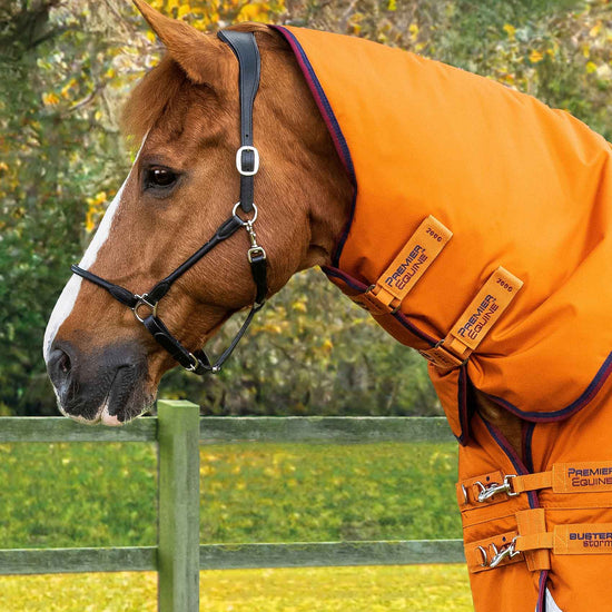 Premier Equine Buster Storm 400g Combo Turnout Rug with Classic Neck by Premier Equine at  Try a Bit