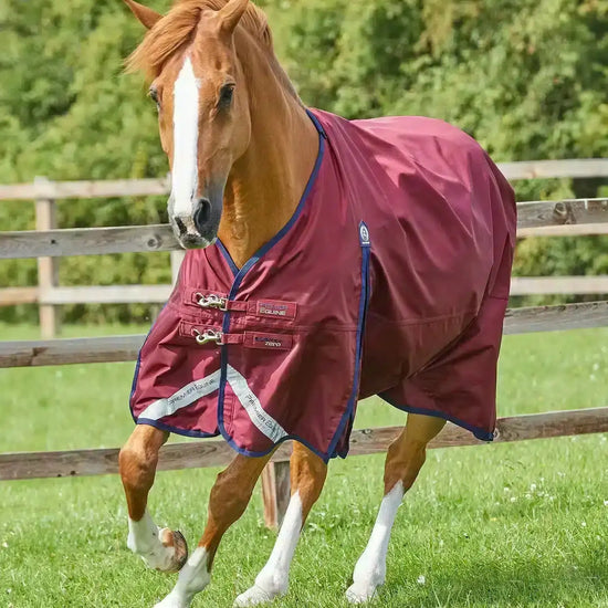 Premier Equine Buster Zero Original Turnout Rug by Premier Equine at  Try a Bit
