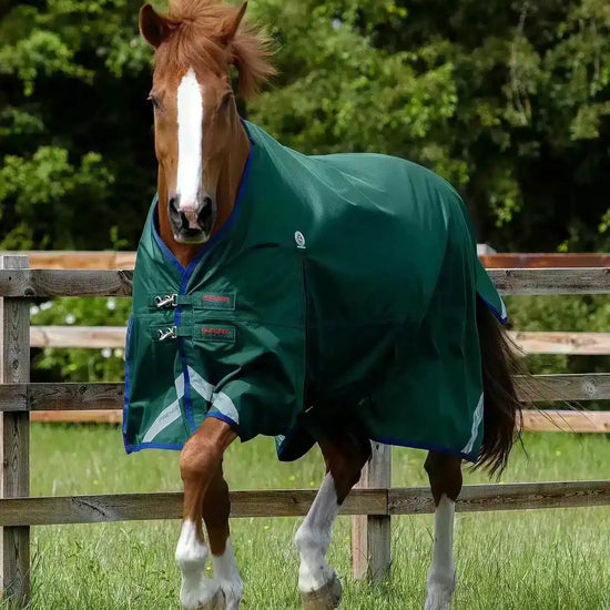 Premier Equine Buster Zero Original Turnout Rug by Premier Equine at  Try a Bit