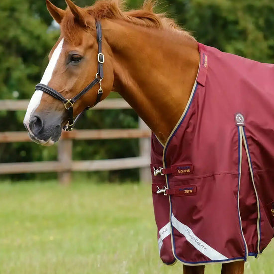 Premier Equine Buster Zero Turnout Rug with Classic Neck Cover by Premier Equine at  Try a Bit