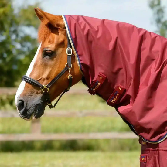 Premier Equine Buster Zero Turnout Rug with Classic Neck Cover by Premier Equine at  Try a Bit