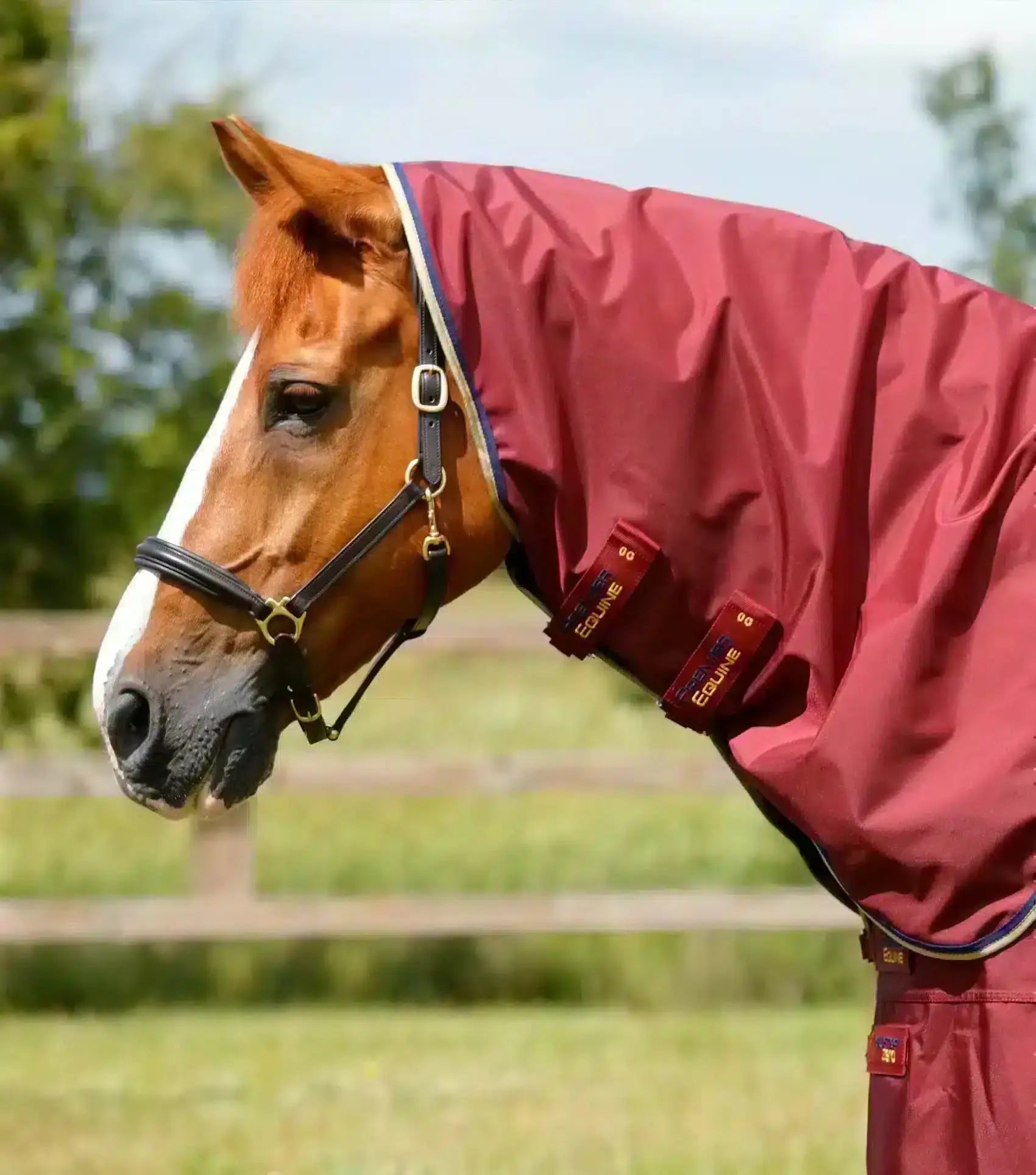 Premier Equine Buster Zero Turnout Rug with Classic Neck Cover by Premier Equine at  Try a Bit
